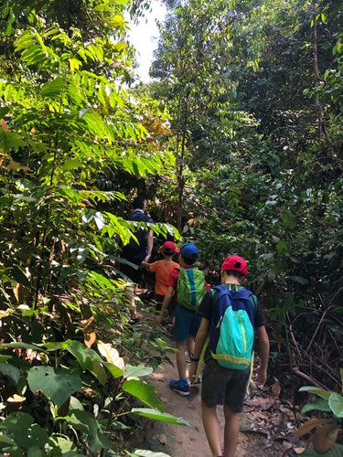 nature_children_trekking_forest_520x500